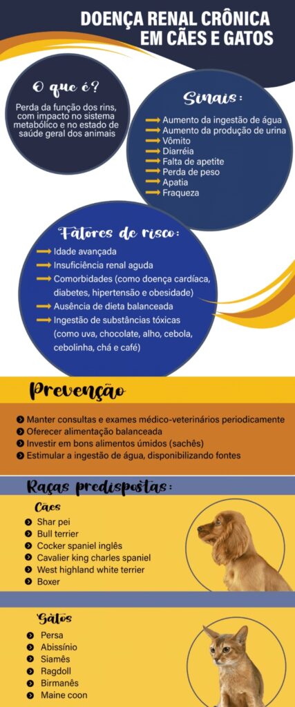infográfico doença renal crônica em cães e gatos